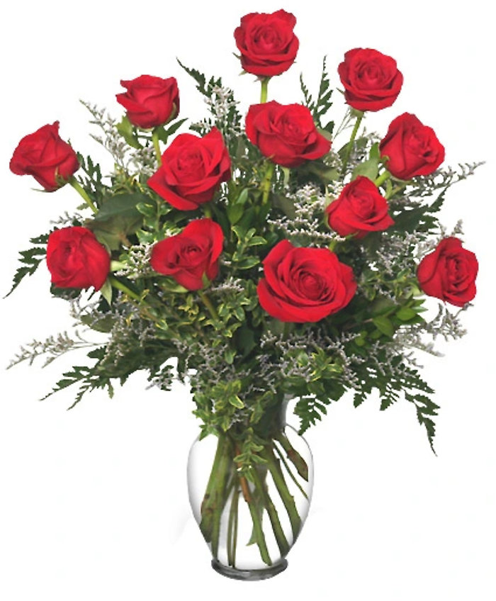 dozen red roses