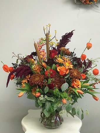 Fall Splendor