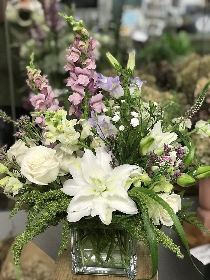 Soft elegance