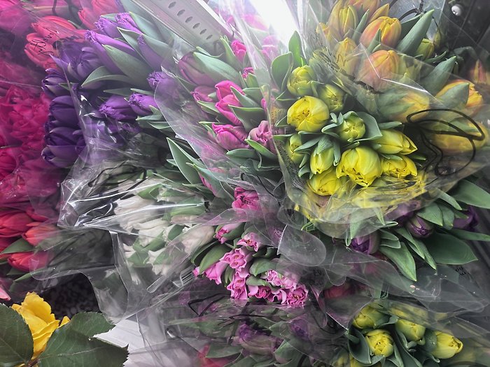 Double tulip bunches