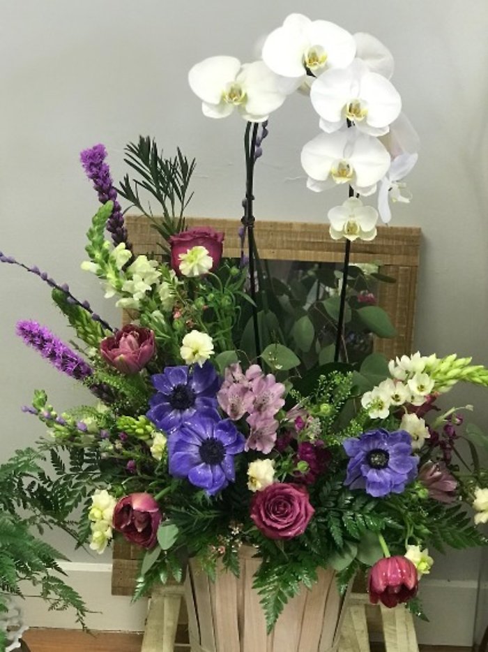 Easter orchid basket