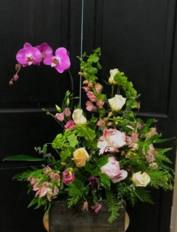 Spring blooming box large